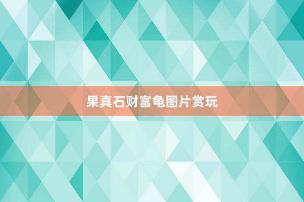 果真石财富龟图片赏玩